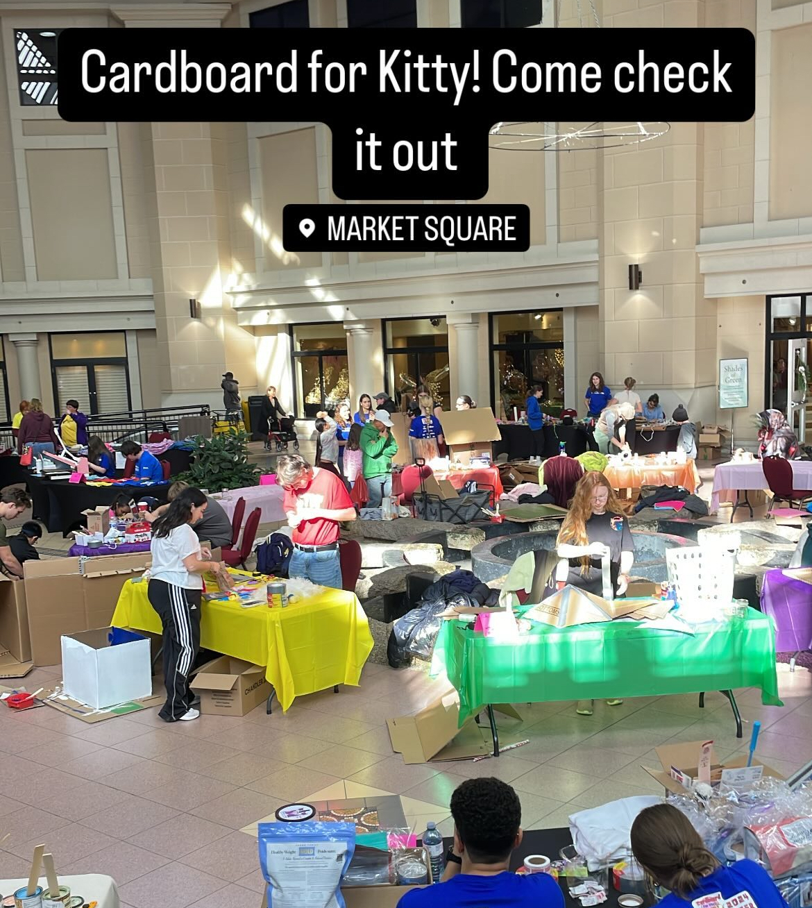 Cardboard for Kitty with Brilliant Labs & RedHead Strays